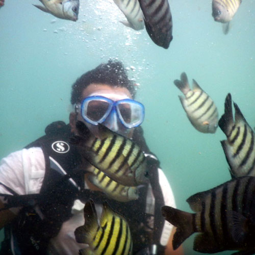 S.C.U.B.A Diving in Tarkarli